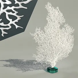 Decorative coral on a glass base